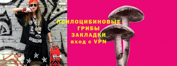 герыч Алексин