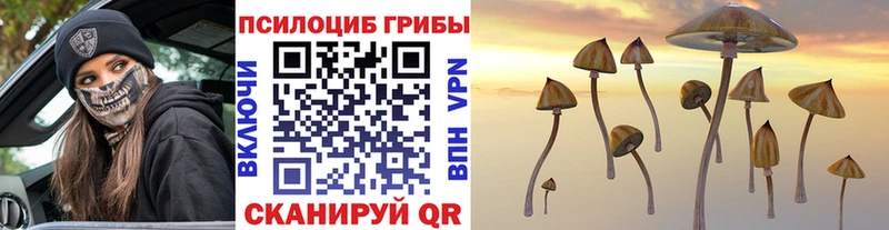 Галлюциногенные грибы мухоморы  Нестеров 